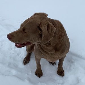 Meet your Posher, Hunter